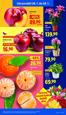 akční leták Lidl 26.1.2026-28.1.2026