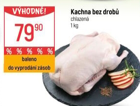Kachna
