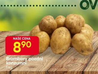 Brambory konzumní pozdní