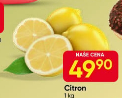 Citrony