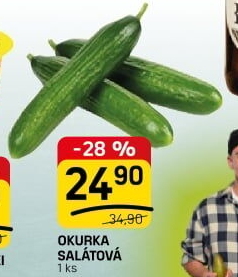 Okurka salátová - hadovka
