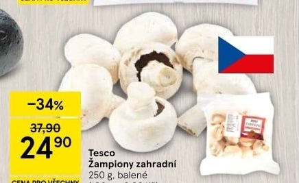 Žampiony zahradní Tesco