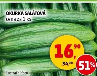 Okurka salátová - hadovka