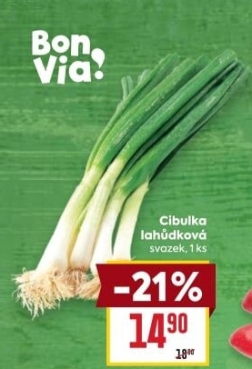 Jarní cibule svazek Billa Bonvia