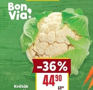 Květák Billa Bonvia
