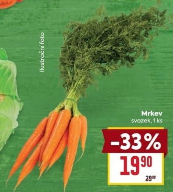 Mrkev svazková