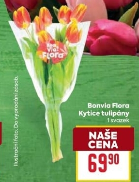 Řezané tulipány Flora Billa Bonvia