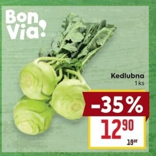Kedlubna bílá Billa Bonvia