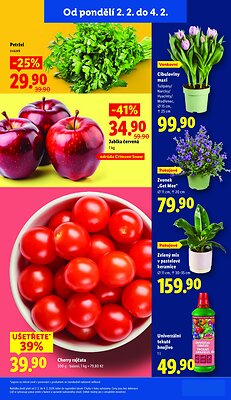 akční leták Lidl 2.2.2026-4.2.2026