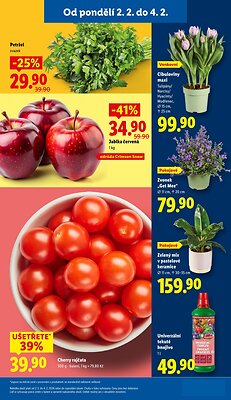 akční leták Lidl 2.2.2026-4.2.2026