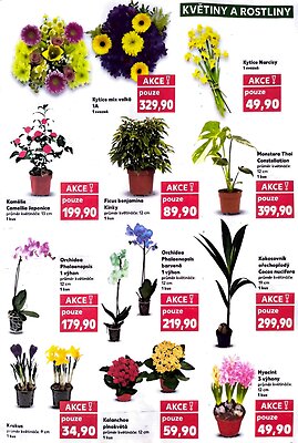 akční leták Kaufland 4.2.2026-10.2.2026