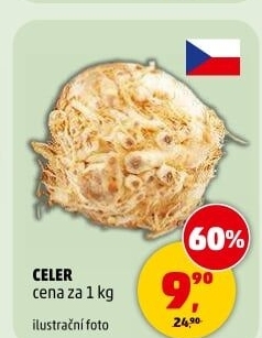 Celer bulva