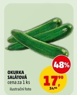 Okurka salátová - hadovka