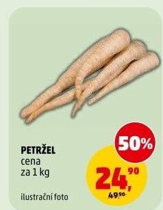Petržel