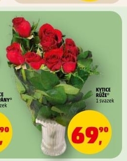 Řezané růže