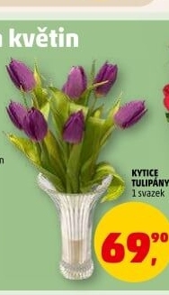 Řezané tulipány