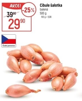 Cibule šalotka