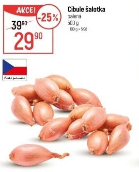 Cibule šalotka