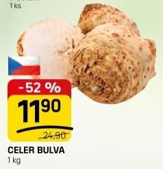 Celer bulva