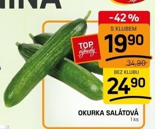 Okurka salátová - hadovka