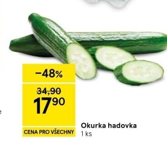 Okurka salátová - hadovka
