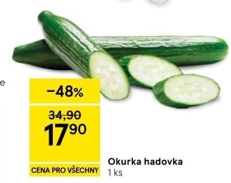 Okurka salátová - hadovka
