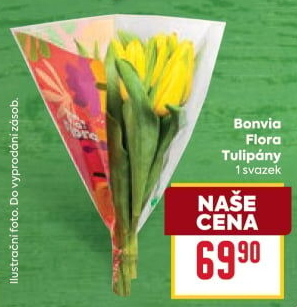 Řezané tulipány Flora Billa Bonvia
