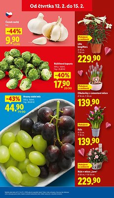 akční leták Lidl 12.2.2026-15.2.2026