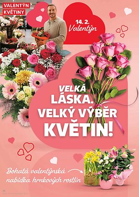 akční leták Kaufland 11.2.2026-17.2.2026