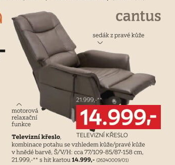 TELEVIZNÍ KŘESLO