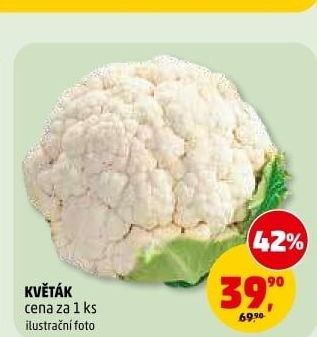 Květák