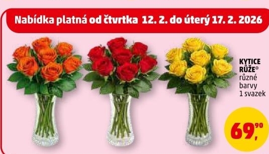 Řezané růže - Penny Market akcniletaky.com