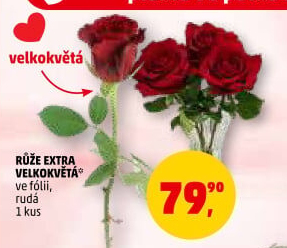 Řezané růže