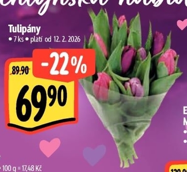 Řezané tulipány