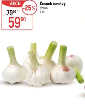 Česnek čerstvý svazek