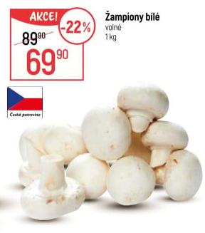 Žampiony bílé