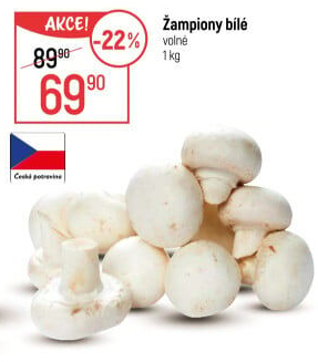 Žampiony bílé