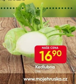 Kedlubna bílá