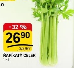 Celer řapíkatý
