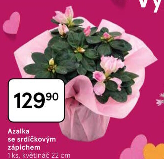 Azalka