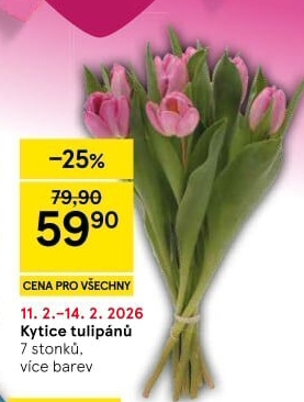 Řezané tulipány