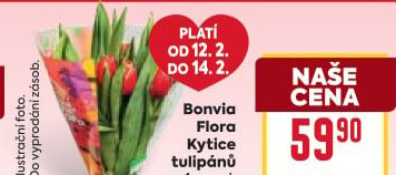 Řezané tulipány Flora Billa Bonvia