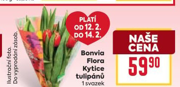 Řezané tulipány Flora Billa Bonvia