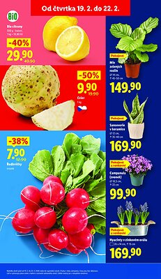 akční leták Lidl 19.2.2026-22.2.2026