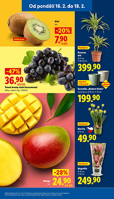 akční leták Lidl 16.2.2026-18.2.2026