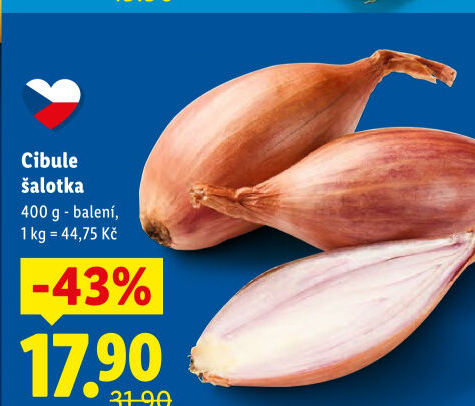 Cibule šalotka