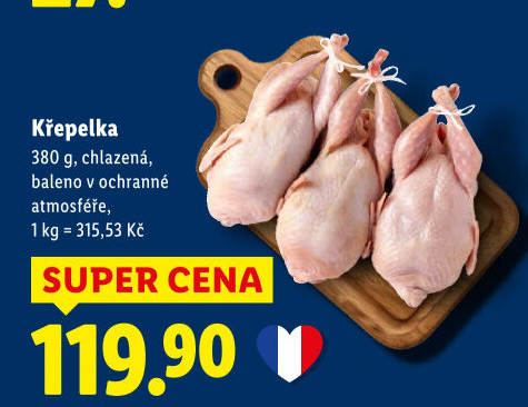 Křepelka