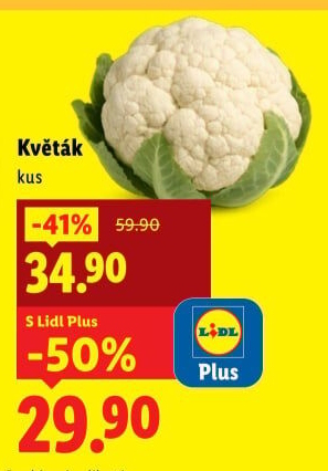 Květák