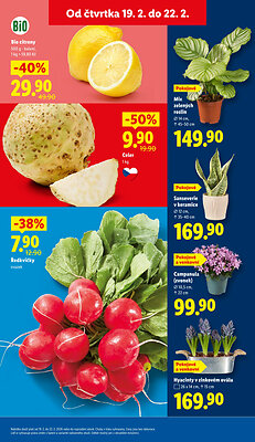 akční leták Lidl 19.2.2026-22.2.2026