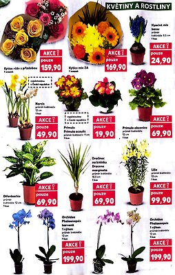 akční leták Kaufland 18.2.2026-24.2.2026